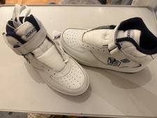 Nikken Cardio Strides