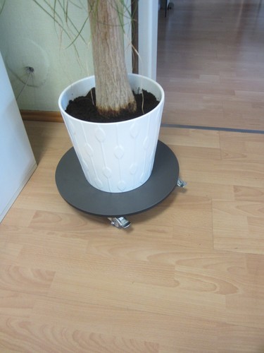 Pflanzenroller blumenroller - pflanzenroller,