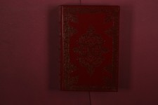 417393 Dumas DIE KAMELIENDAME