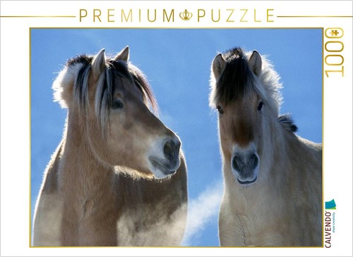 Calvendo puzzle ein motiv aus - calvendo,