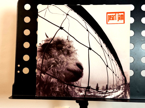 Pearl jam vinyl lp - jam,
