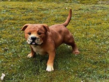 Deko Figur American Bully
