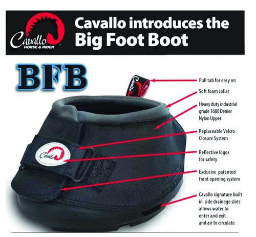 Cavallo big foot - big,