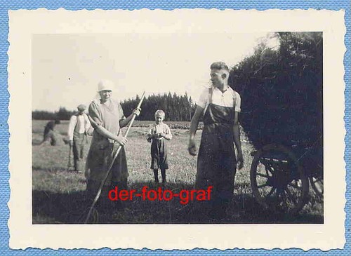 Foto alte landwirtschaft - foto,,