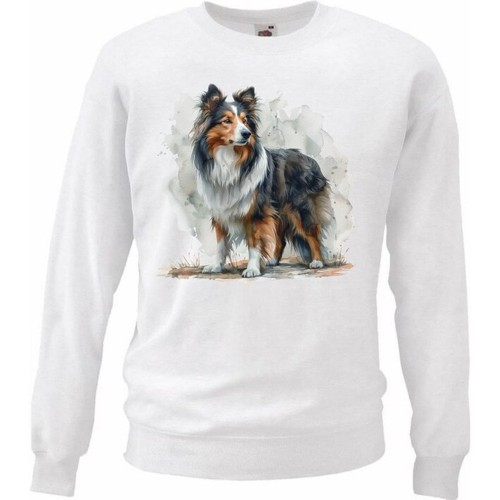 Sweatshirt sweater - sweatshirt,