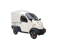 E-TRUCK V-MAX Elektro Vier Rad