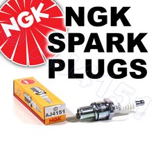 Neu Ngk Zündkerze für Agria Rasenmäher Baby 2100 (14mm Stecker)