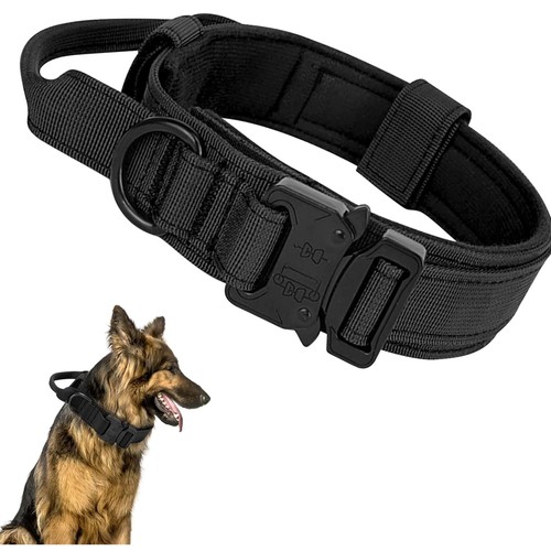 Hunde halsband taktisch - halsband,