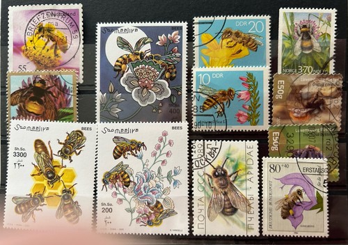 Steckkarte bienen - kl.,