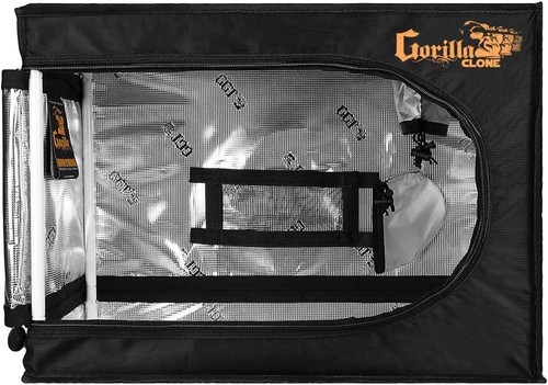 Growbox gorilla clone - clone,