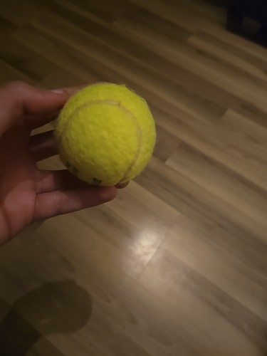 Tennis ball - tennis,
