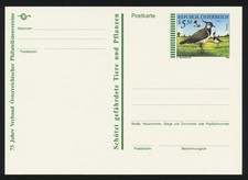 Kiebitz 5,50 S - 17.05.1996