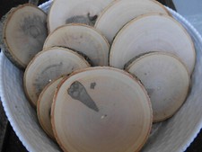 10 x   Holzscheiben Esche