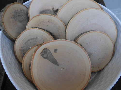 Holzscheiben esche - x,