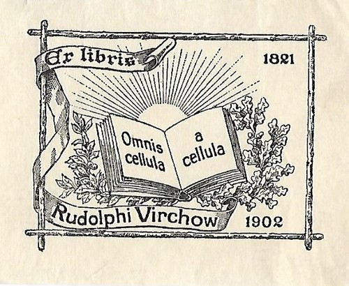 Original kupferstich exlibris - original,