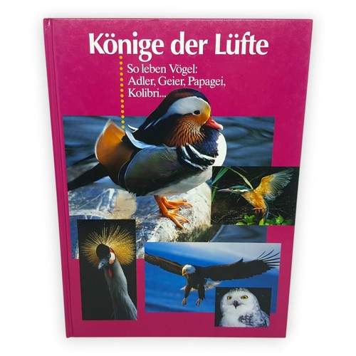 Könige der lüfte - so, leben