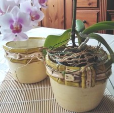 1 Sehr Hübscher Blumen