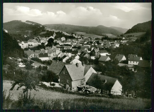 Foto datterode netratal - datterode,