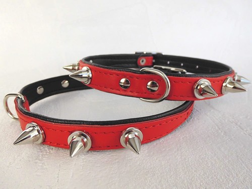 Hunde halsband halsumfang - hunde,