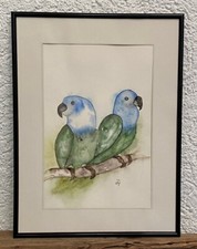 Papageien original aquarell - papageien,
