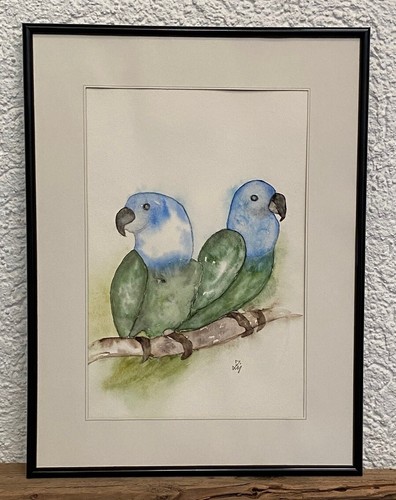 Papageien original aquarell - papageien,