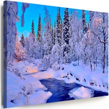 WANDBILDER Winter Natur