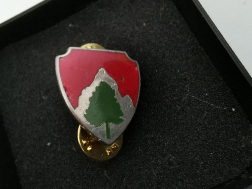 Alter army pin crest - alter,