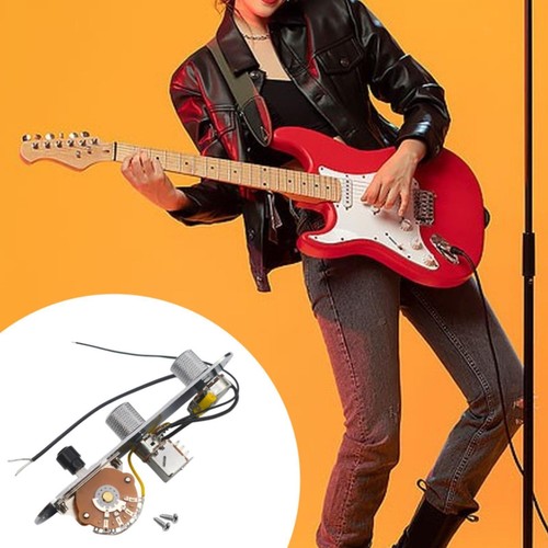 Gitarre steuerplatte geladen - e-gitarre,