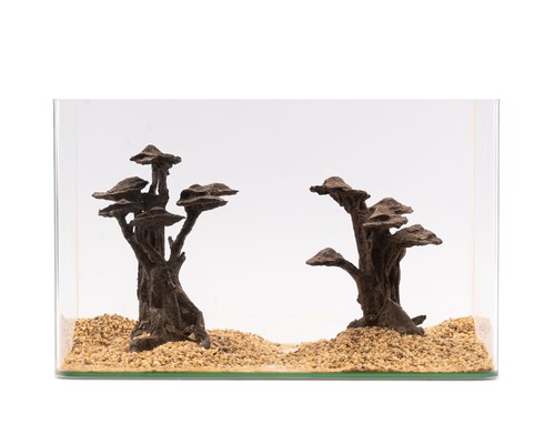 Natureholic stone bonsai - stone,