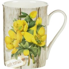 Becher Bone China Pflanzen Frühling Winterlinge Eranthis Hyemalis IHR