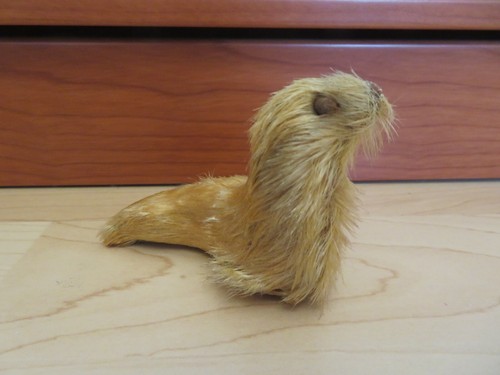 Kleiner seehund 7 5 cm - seehund,,