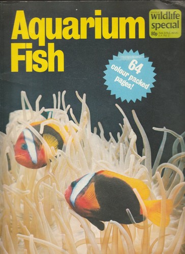 Aquarium fish wildlife - aquarium,