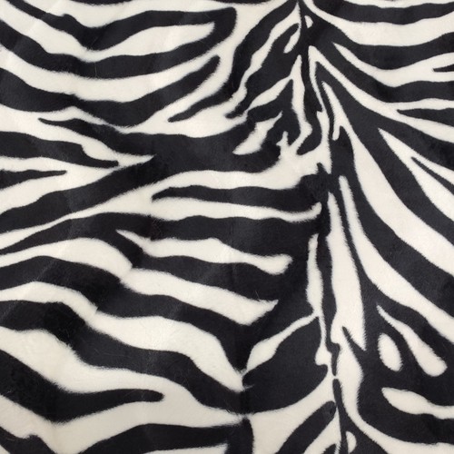 Zebra animal print - zebra, velboa