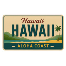 Hawaii Vintage USA