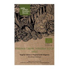 Virginia Tabak 'Virginia Gold' (Nicotiana tabacum) Bio ca 500 Samen