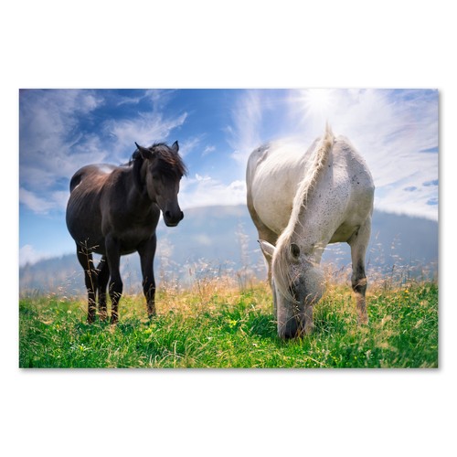 Postereck 2955 poster - postereck,