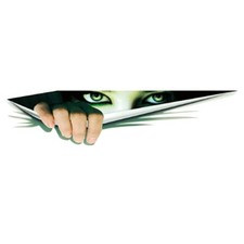 Aufkleber XXL Augen Sticker