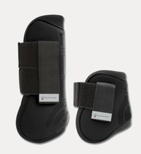 Waldhausen Schwarz Warmblut