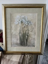 Agapanthus von Jean Scott