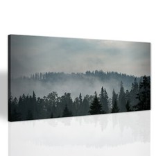 Berg Wald Nebel Landschaft