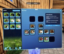 Star Stable Account / Lvl 21 /