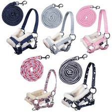 Hobby horse halfterset - horse,