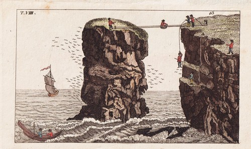 Vogeleier schottland sammeln - schottland,