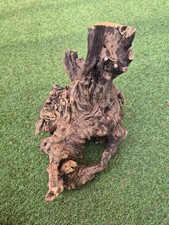 Mit riesen loch skulptur - mit,