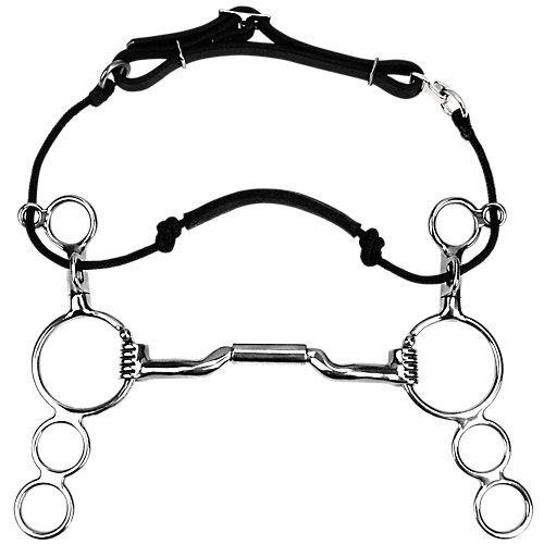 Myler bits - bits, 3-ring