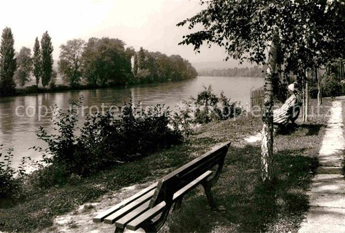 Kadelburg flusspartie - kadelburg,