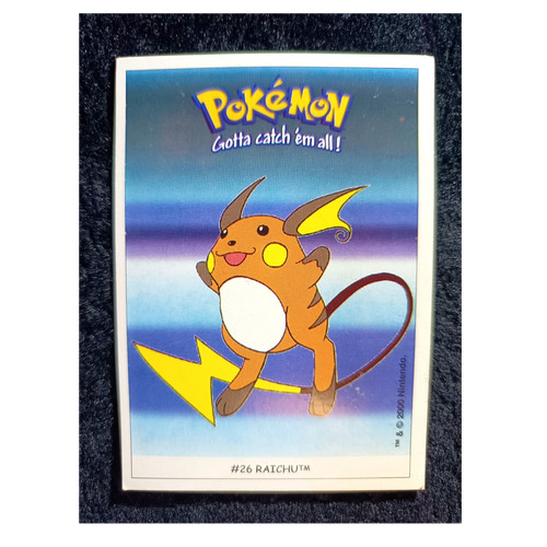 Pokémon raichu dunkin - pokémon,