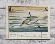 Ichthylosaurus Fischdrache