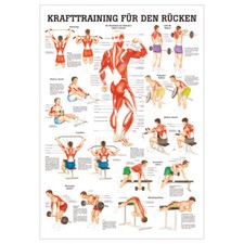Anatomische Lehrtafel "Krafttraining Rücken", LxB 100x70 cm