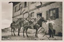 Photo Red Wall House